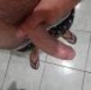 foto do perfil fnovato123